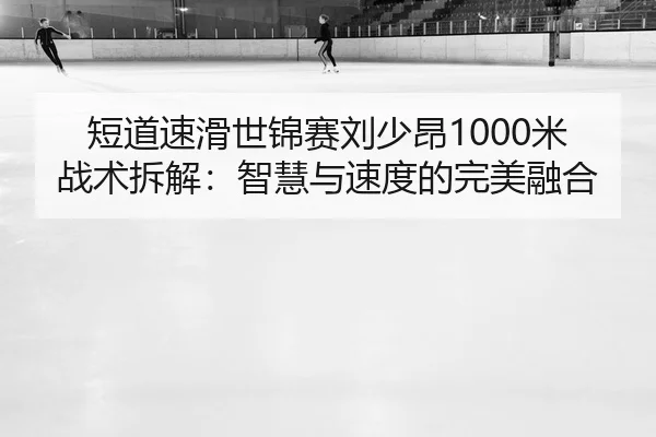 duan-dao-su-hua-shi-jin-sai-liu-shao-ang-mi-zhan-shu-chai-jie-zhi-hui-yu-su-du-de-wan-mei-rong-he-2-603.jpg