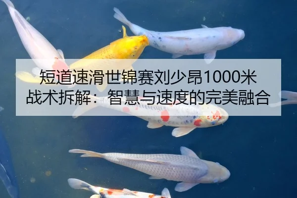 短道速滑世锦赛刘少昂1000米战术拆解：智慧与速度的完美融合