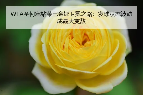 sheng-he-sai-zhan-lai-ba-jin-na-wei-mian-zhi-lu-fa-qiu-zhuang-tai-bo-dong-cheng-zui-da-bian-shu-3-932.jpg