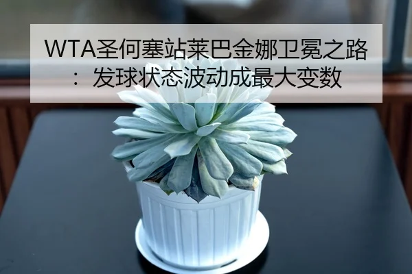 WTA圣何塞站莱巴金娜卫冕之路：发球状态波动成最大变数