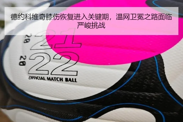 de-yue-ke-wei-qi-xi-shang-hui-fu-jin-ru-guan-jian-qi-wen-wang-wei-mian-zhi-lu-mian-lin-yan-jun-tiao-zhan-3-522.jpg