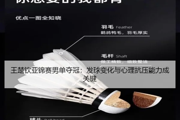 wang-chu-qin-ya-jin-sai-nan-dan-duo-guan-fa-qiu-bian-hua-yu-xin-li-kang-ya-neng-li-cheng-guan-jian-3-128.jpg
